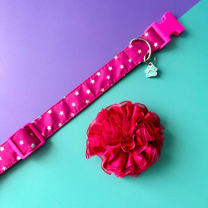 Collar para perros Estrellas con flor tul fucsia