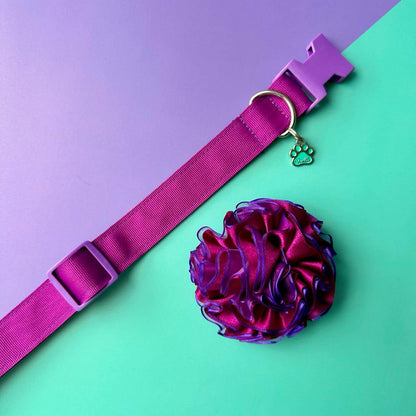 Collar para perros con flor tul morado