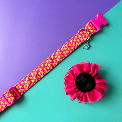 Collar para perros Patos con flor tul fucsia