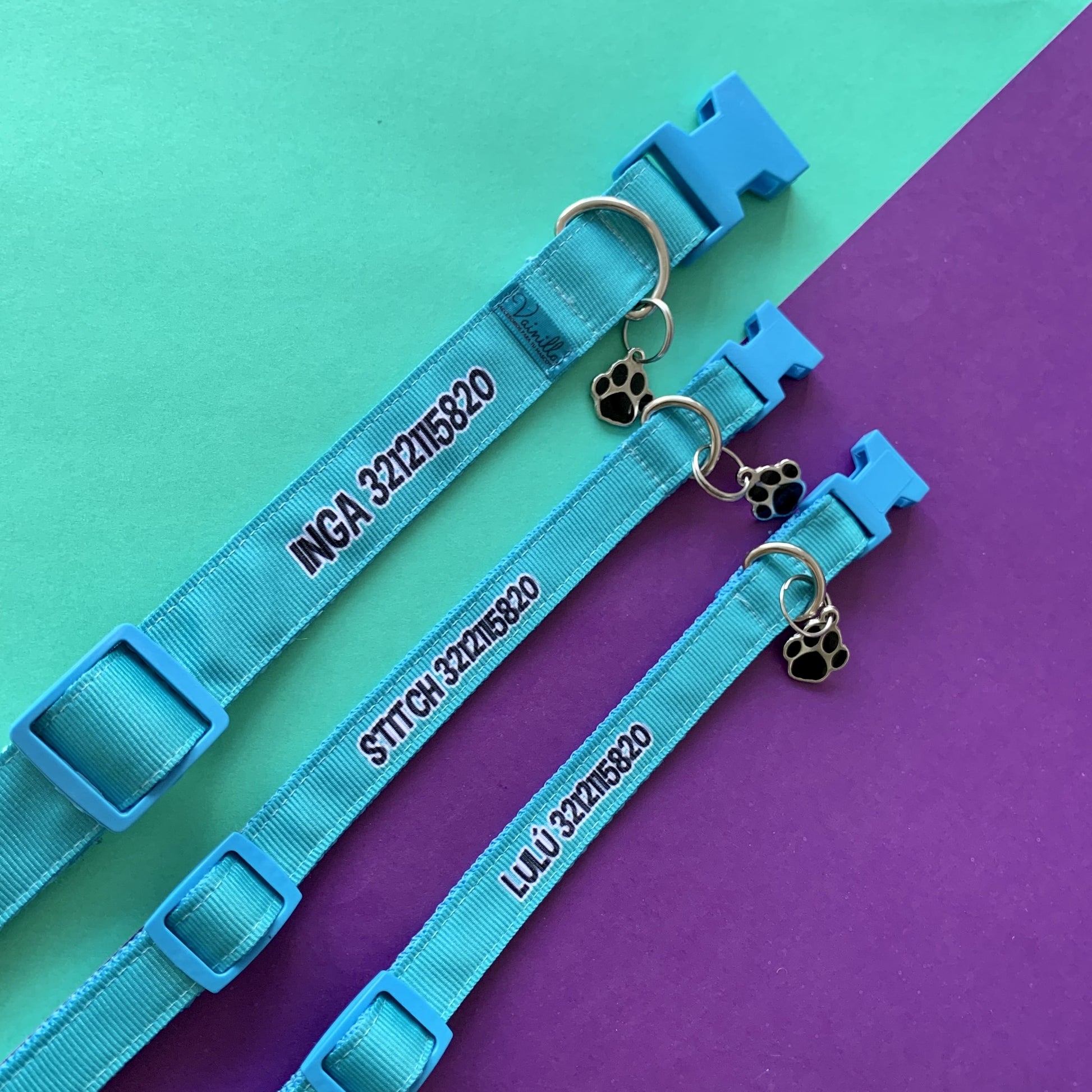 collar-para-perro-personalizado