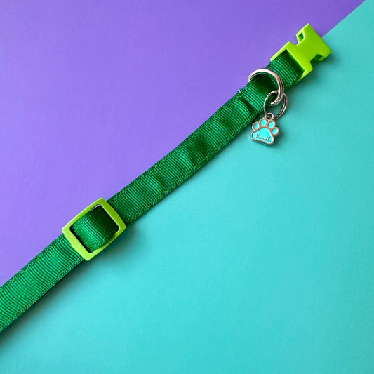 Collar para perros verde