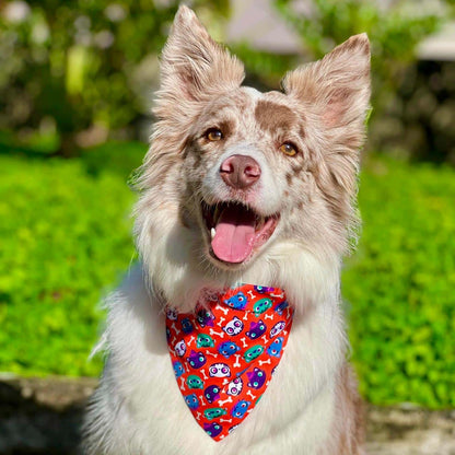 Pañoleta para perros Halloween Gatuno Naranja