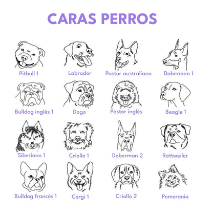 Placa de identificación para perros en acero porta collar