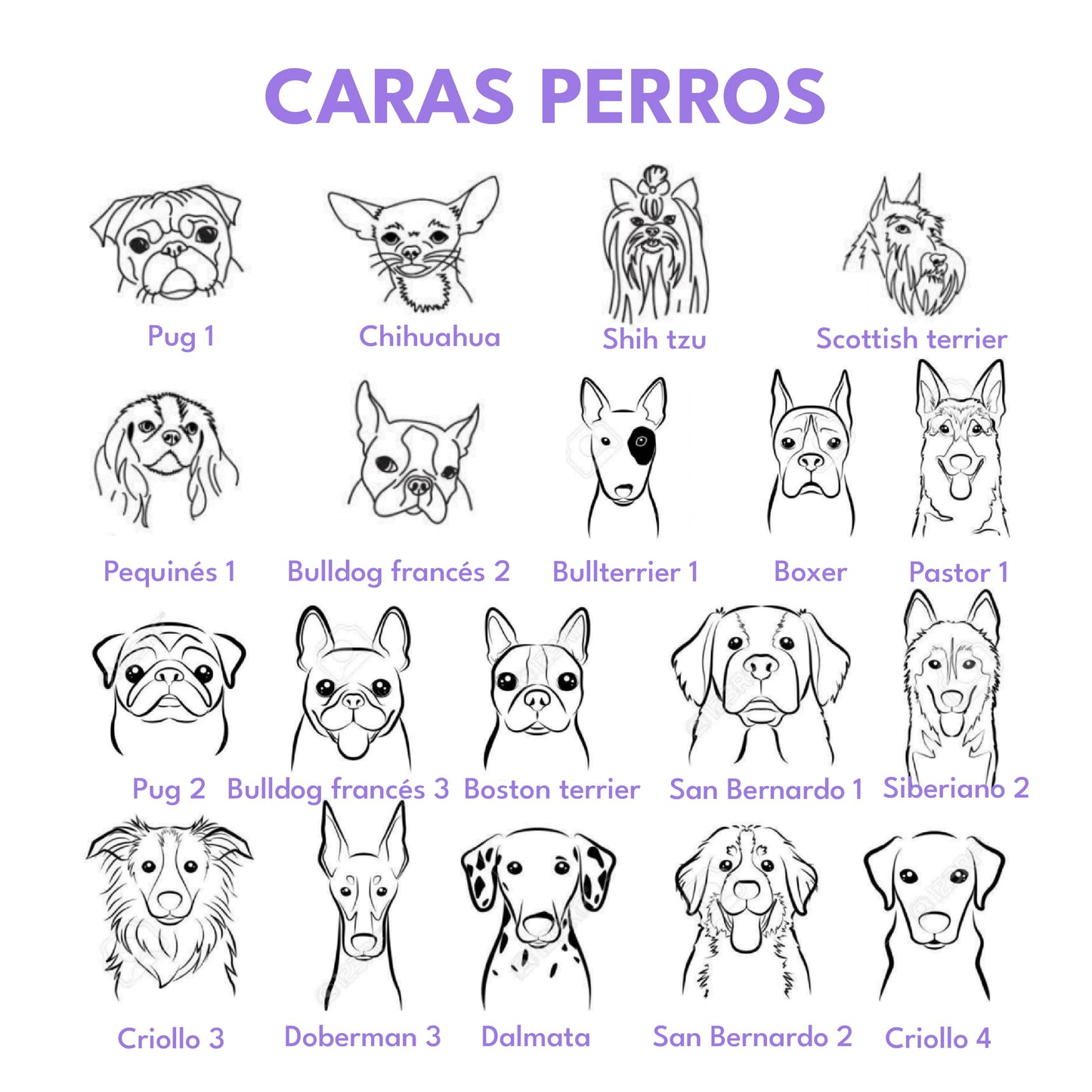 Placa de identificación para perros en acero porta collar