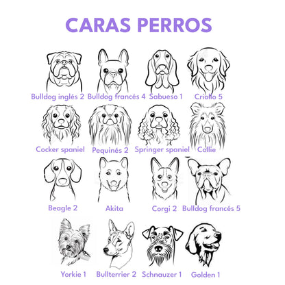 Placa de identificación para perros en acero porta collar