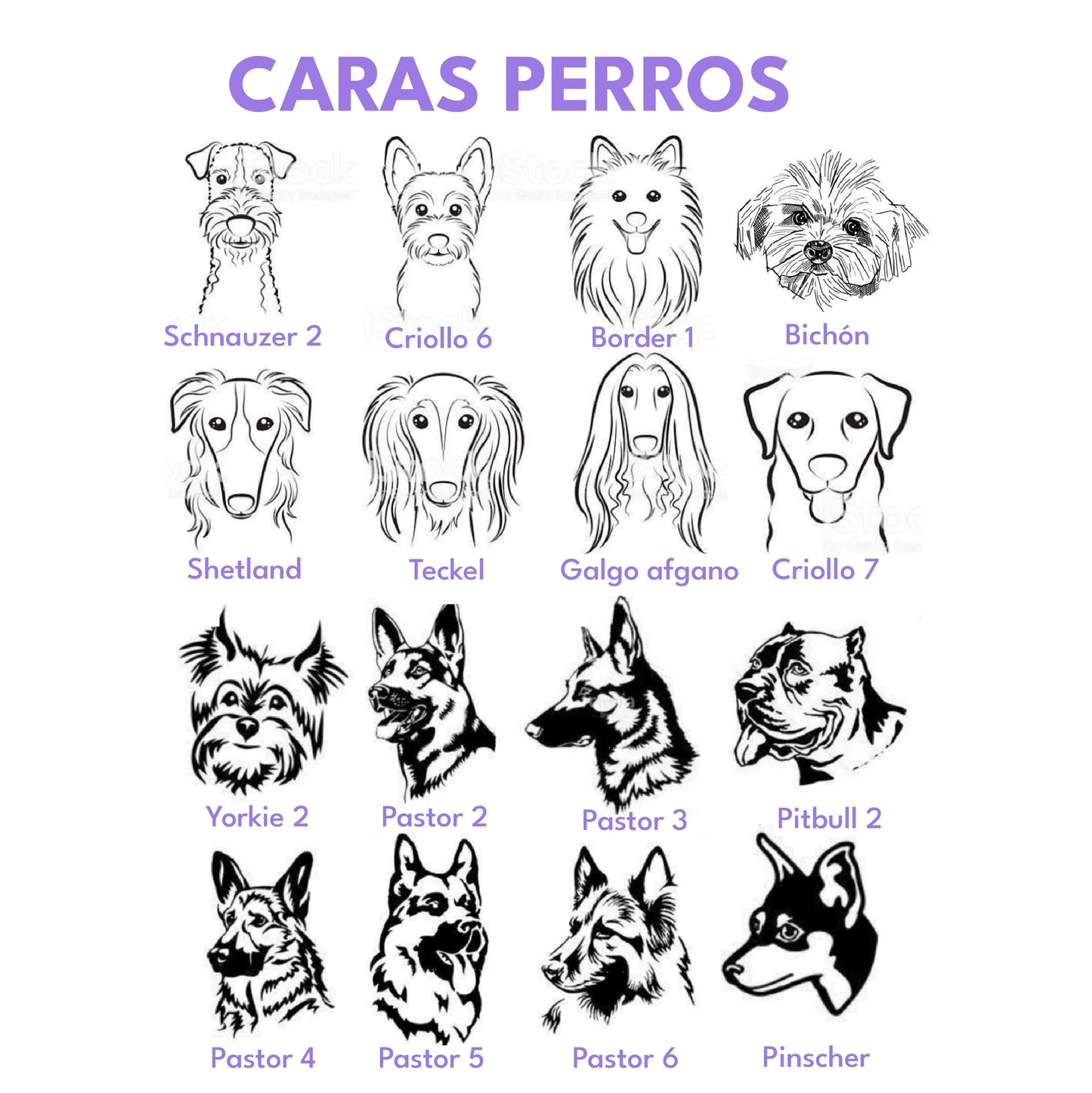 Placa de identificación para perros en acero porta collar