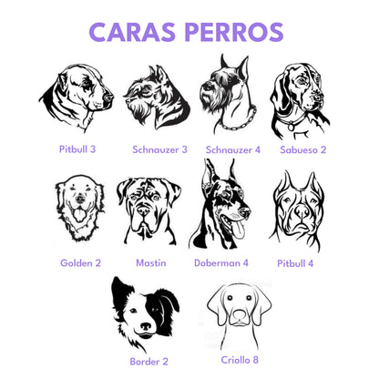 Placa de identificación para perros en acero porta collar