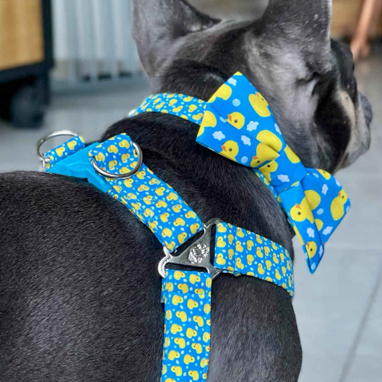 Arnés para perros con correa Patos Azul