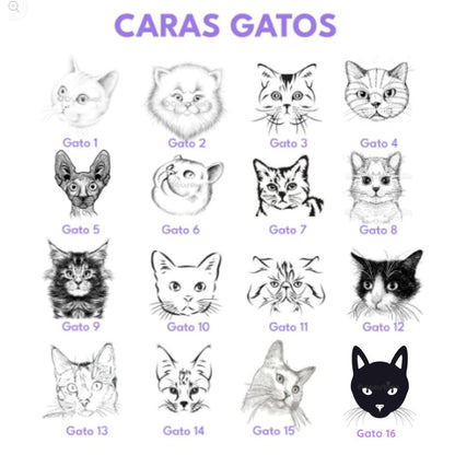 Placa de identificación para gatos en acero porta collar