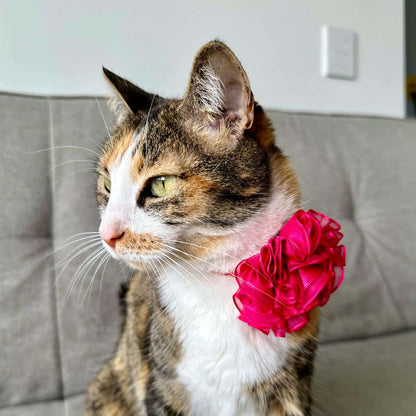 Collar para gatos con flor tul fucsia