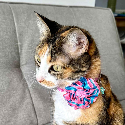 Collar para gatos con flor bicolor turquesa y rosado neón