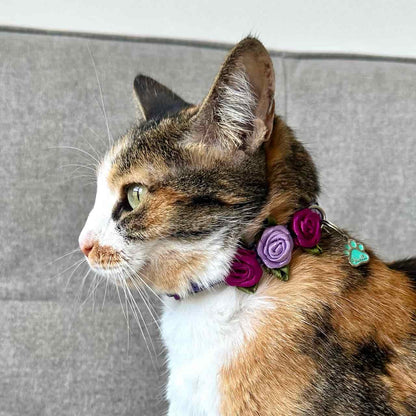 Collar para gatos con rosas Morado