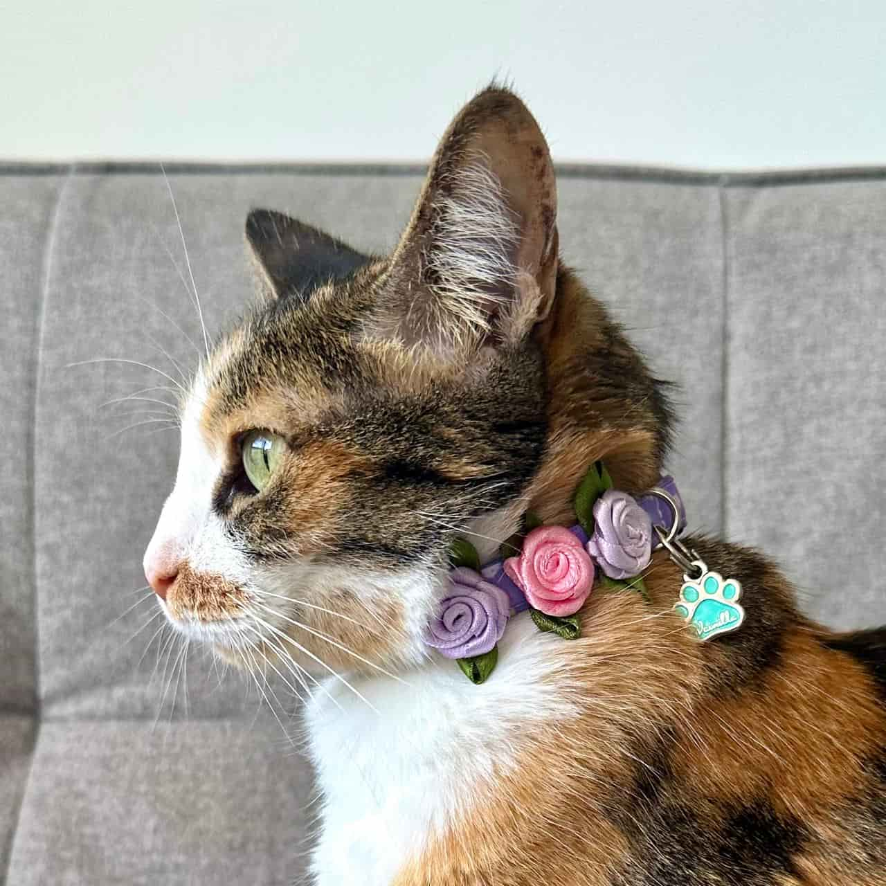 Collar para gatos con rosas corazones 1