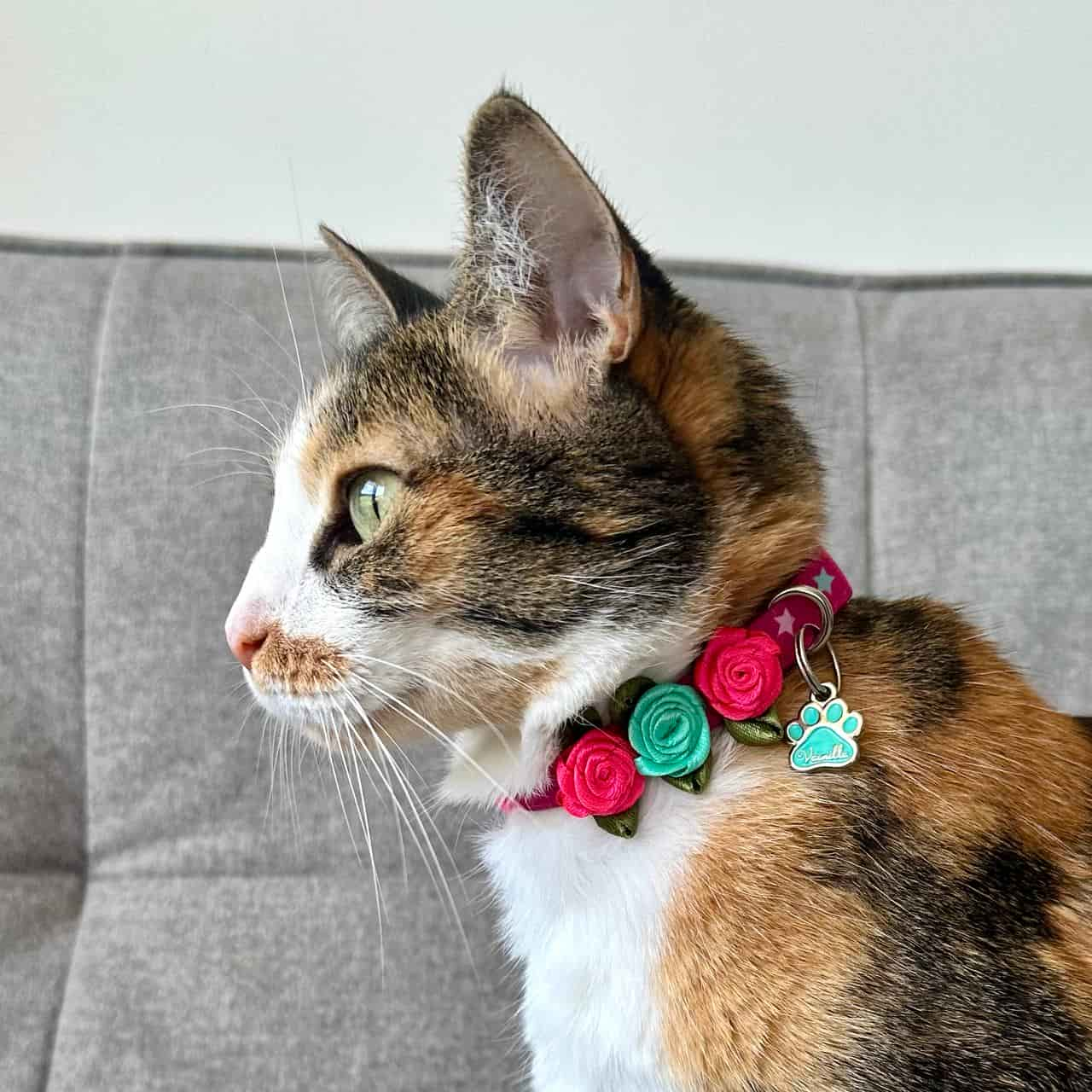 Collar para gatos con rosas Estrellas 2