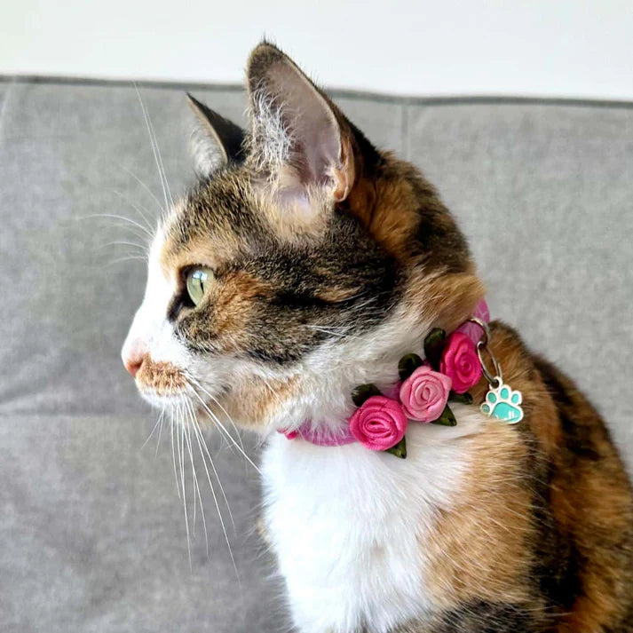 Collar para gatos con rosas Jirafa 2