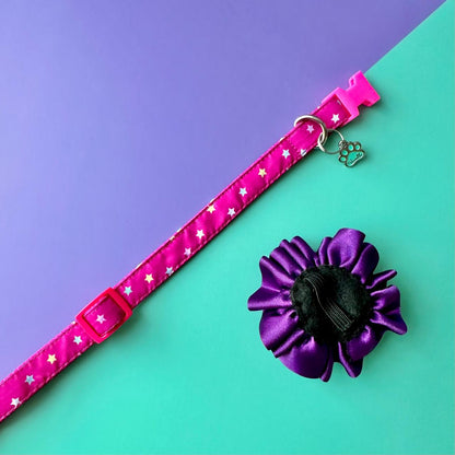 Collar para perros con flor bicolor fucsia y morado - Estrellas