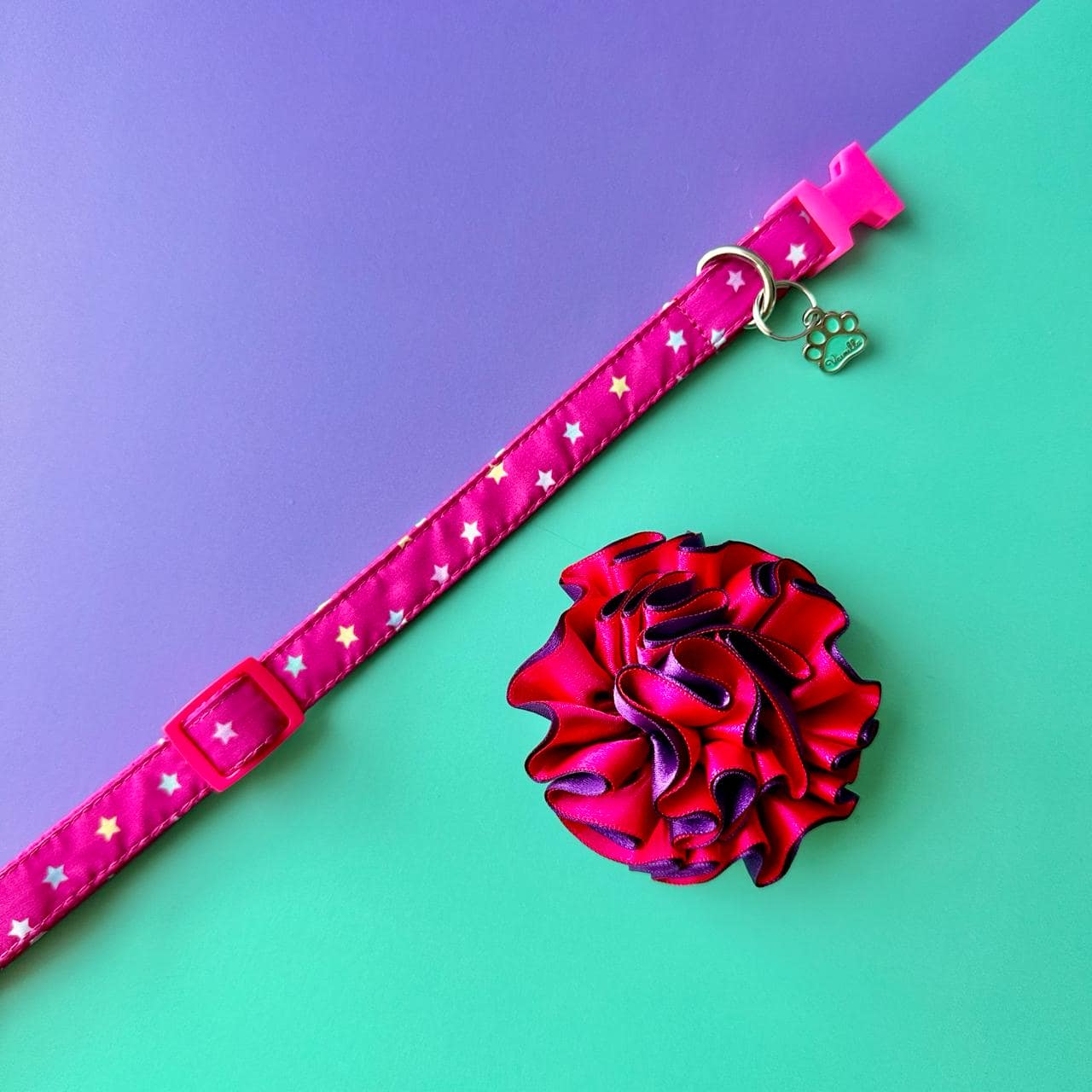 Collar para perros con flor bicolor fucsia y morado - Estrellas