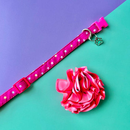 Collar para perros con flor bicolor fucsia neón y rosado neón - Estrellas