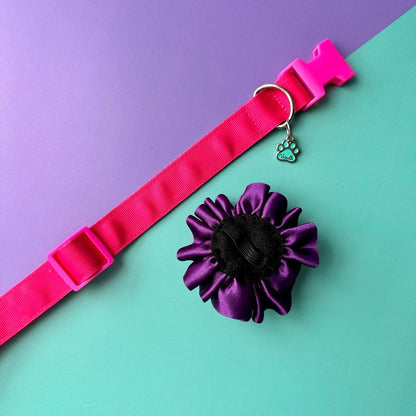 Collar para perros con flor bicolor fucsia y morado