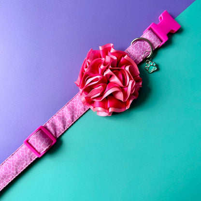 Collar para perros con flor bicolor fucsia neón y rosado neón - Jirafa