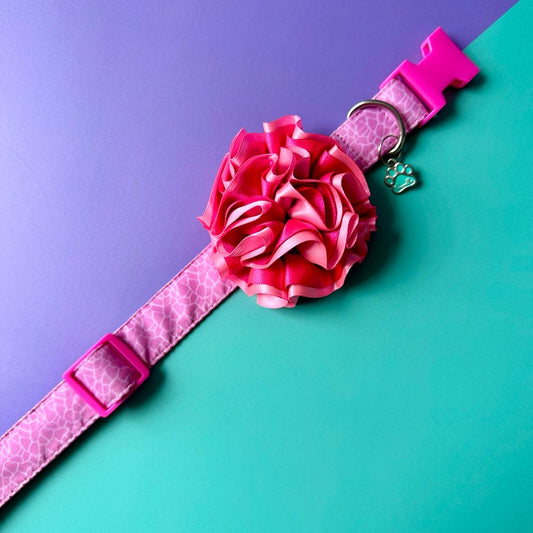 Collar para perros con flor bicolor fucsia neón y rosado neón - Jirafa