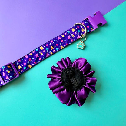 Collar para perros con flor bicolor fucsia y morada - Candy