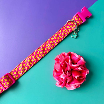 Collar para perros con flor bicolor fucsia neón y rosado neón - Patos