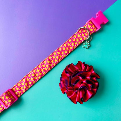 Collar para perros con flor bicolor fucsia y morado - Patos