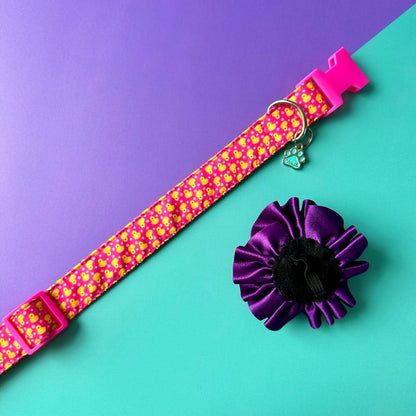 Collar para perros con flor bicolor fucsia y morado - Patos