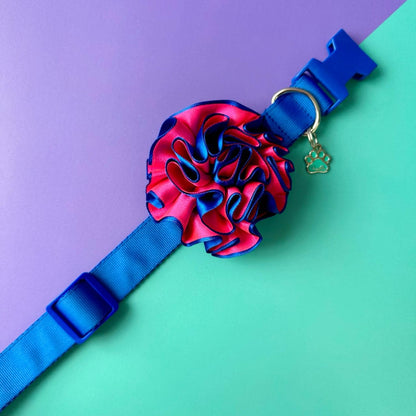 Collar para perros con flor bicolor fucsia y azul