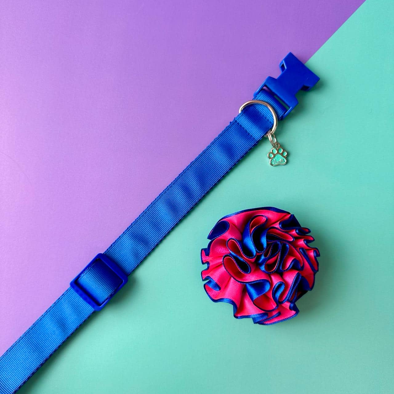 Collar para perros con flor bicolor fucsia y azul