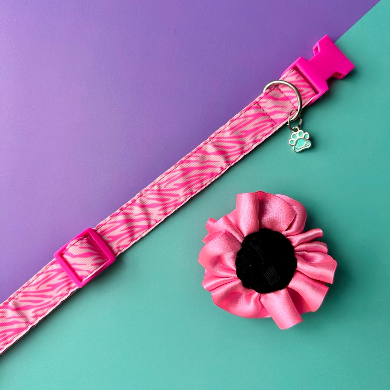 Collar para perros con flor bicolor turquesa y rosado neón - Cebra