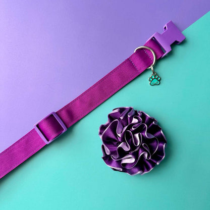 Collar para perros con flor bicolor morado y lila - Morado