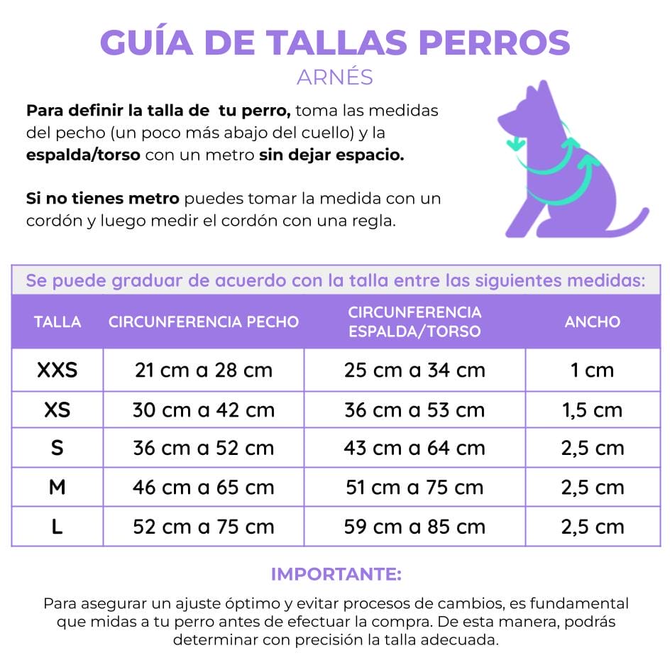 Arnés para perros con correa Estrellas