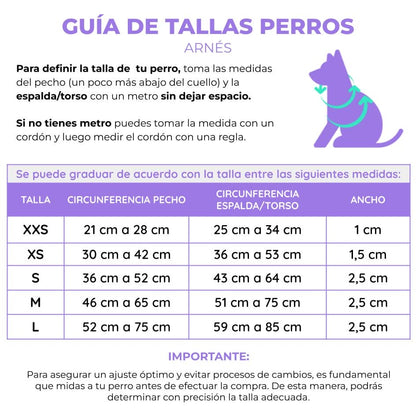 Arnés para perros con correa Estrellas