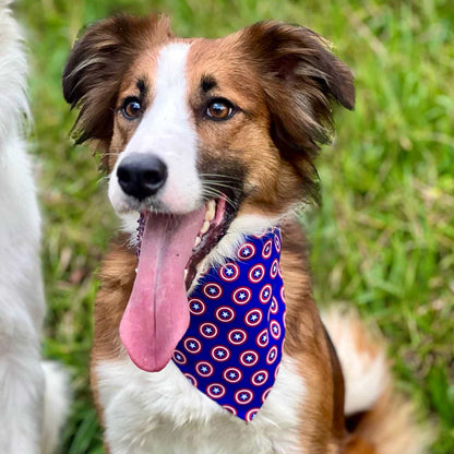 Pañoleta para perros Capitán América