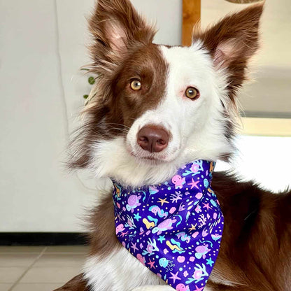 Pañoleta para perros Océano