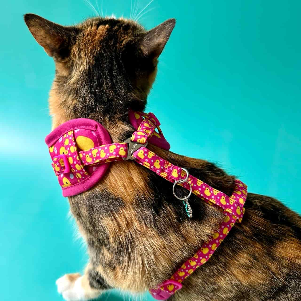 Pechera para gatos sin correa Patos fucsia