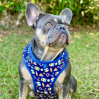 Pechera para perros con correa Playa