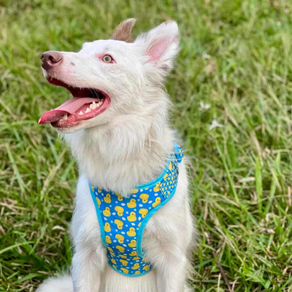 Pechera para perros con correa Patos azul